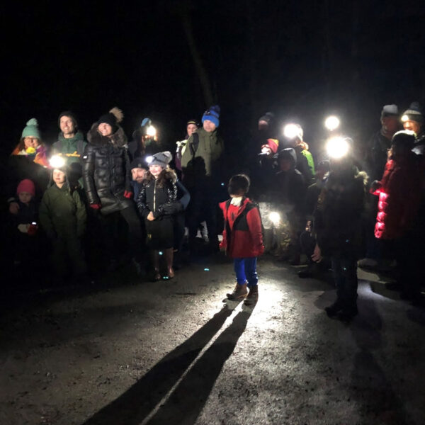 Family Forest Adventures - Hunt the Christmas Tree