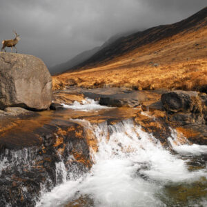 Soul Adventures - Isle of Arran Adventure & Wellness weekend